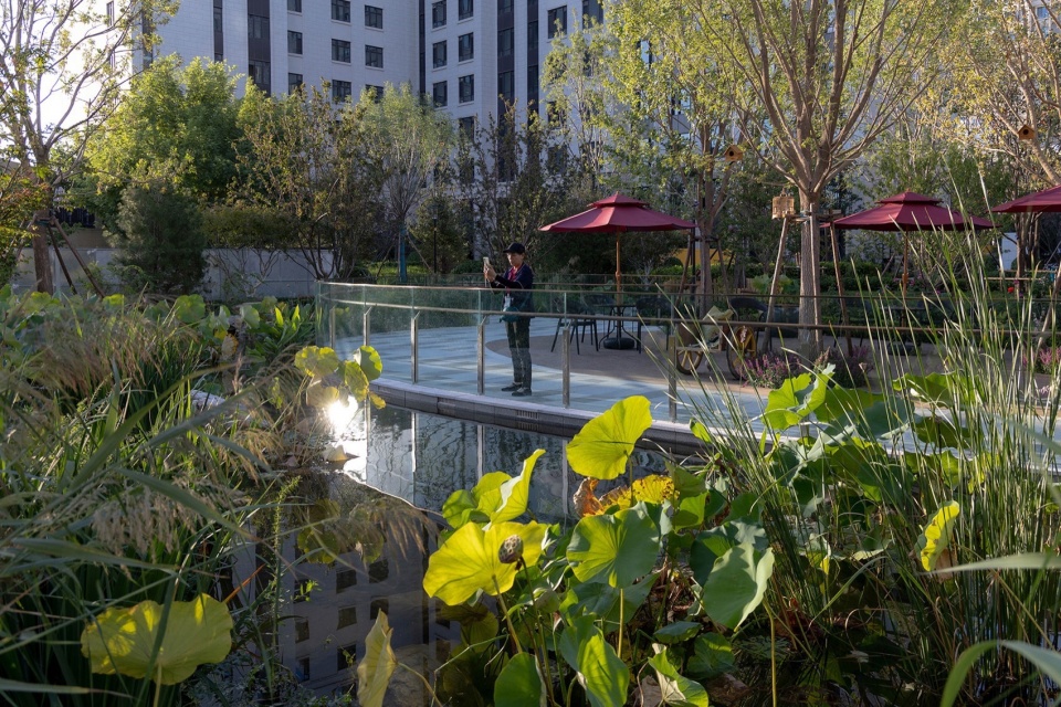Landscape Design for Beijing Yan Garden Phase III Taikang Flagship Retirement Community by HOPE DESIGN
