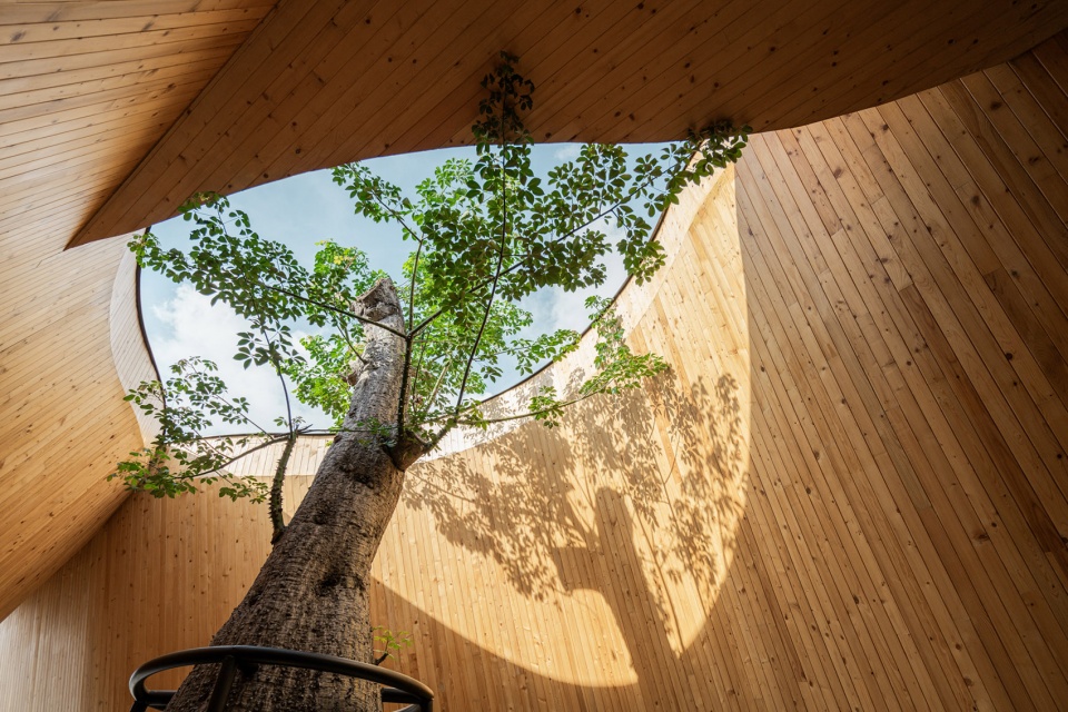 harudot by nana coffee roasters by idin architects