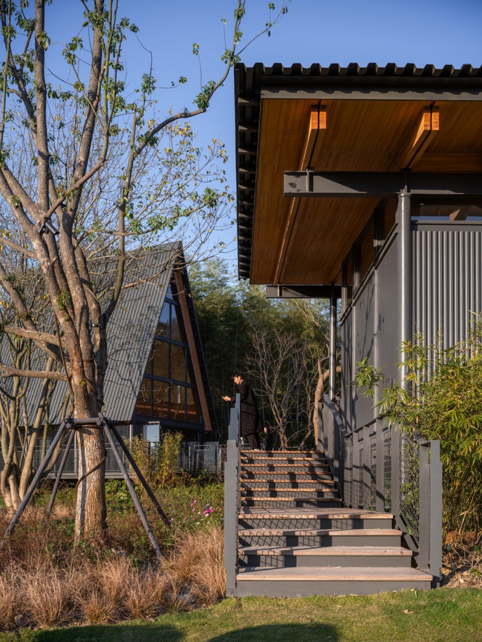 掩映在竹林中的帐篷营地酒店 建言建筑