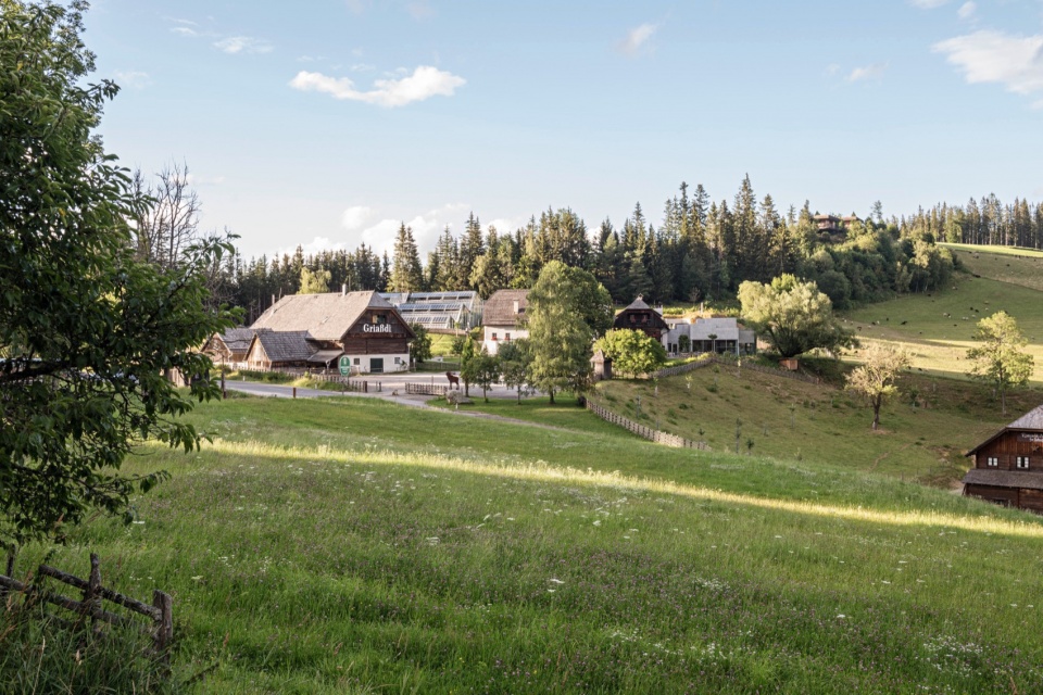 steirereck am pogusch by ppag architects