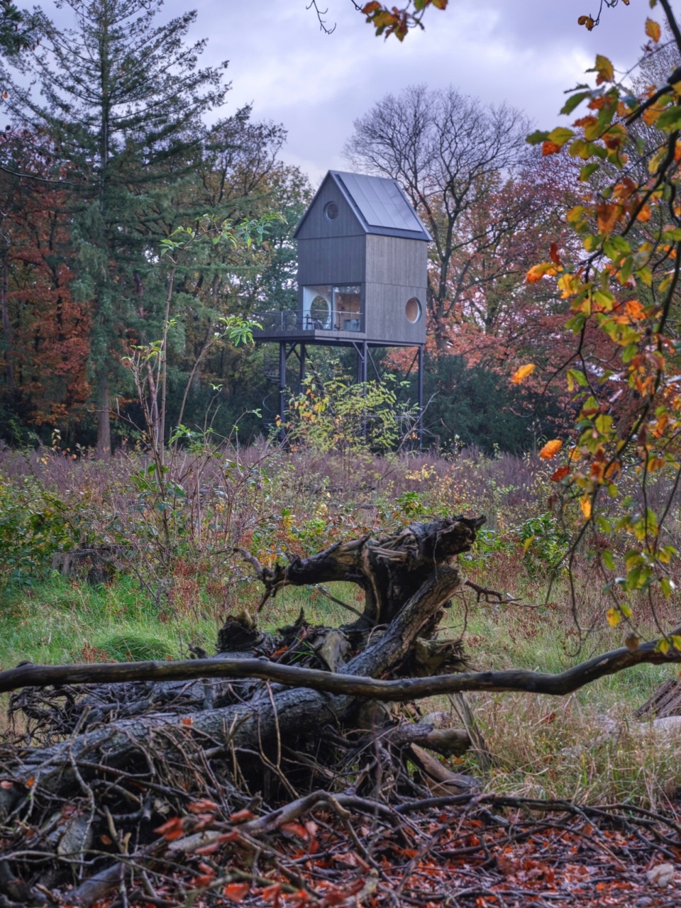 Buitenverblijf Nest i29
