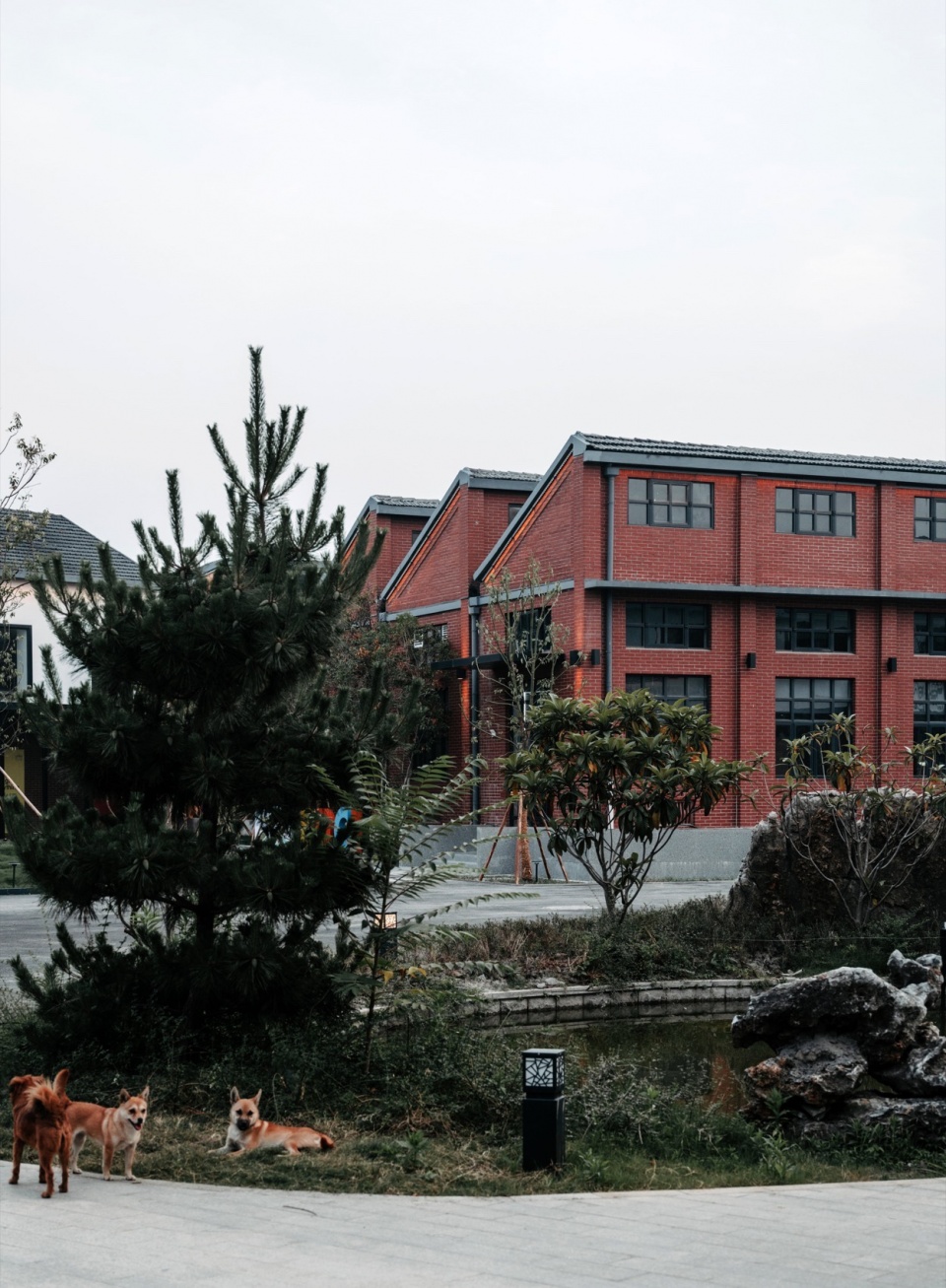 丝博园看向建筑garden view@徐英达