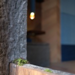 People Coffee&Bar by C.A.S.H.DESIGN