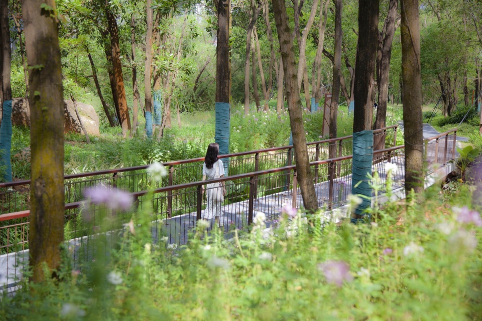 qiaocheng north park by wenke green technology