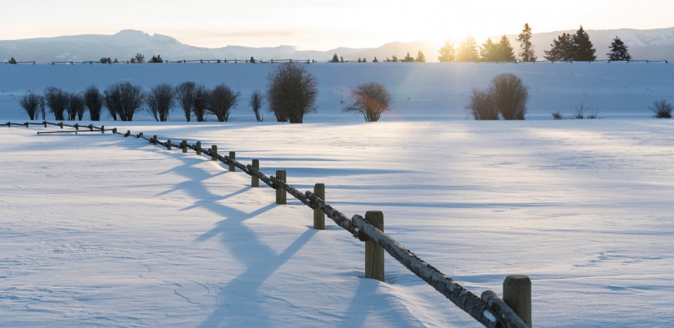 2023 ASLA RESIDENTIAL DESIGN AWARD OF HONOR Black Fox Ranch by Design Workshop Inc