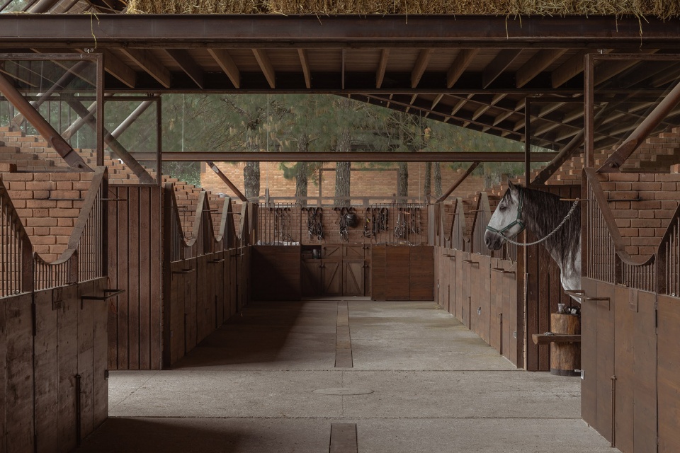 equestrian san ramon by modica ledezma