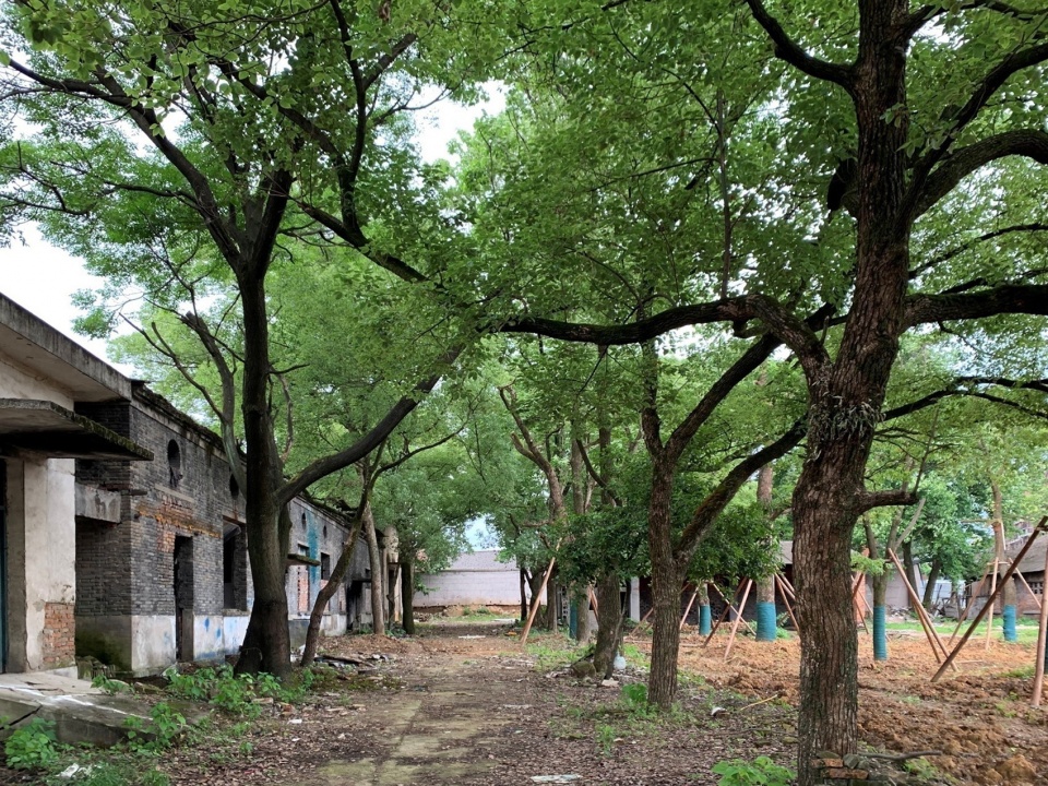 Jingyang Camphor Court China by Vector Architects