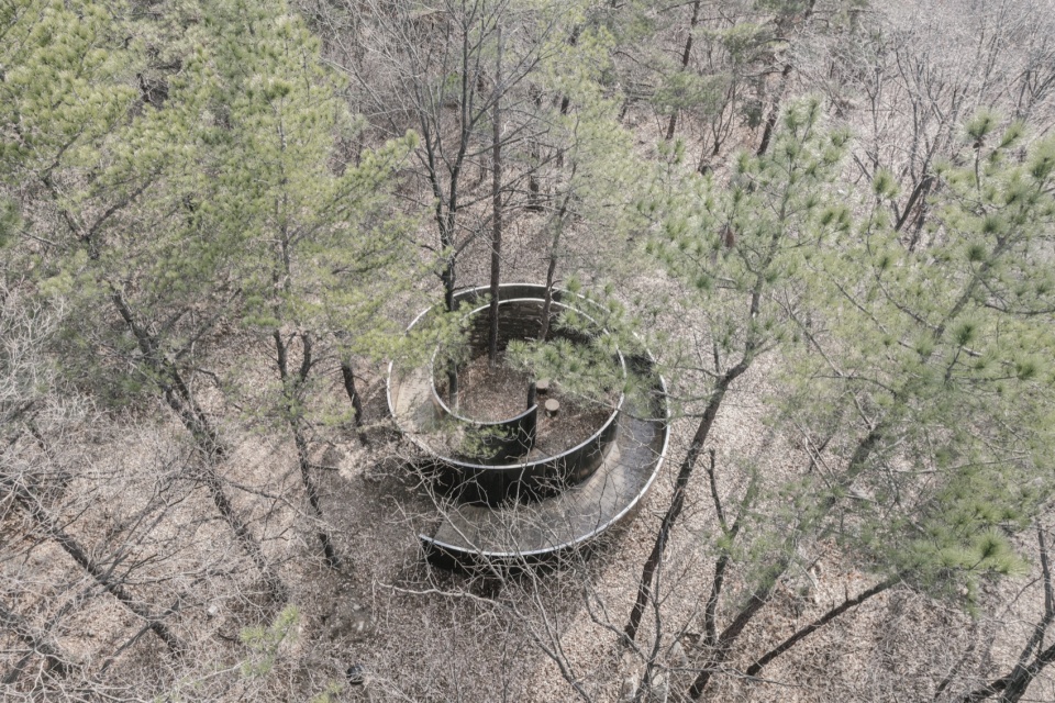 secret forest pavilion by next architects