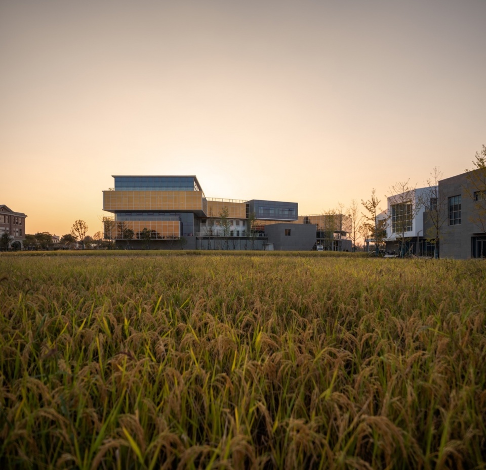 changan international flower industry park by sens architects plain architecture