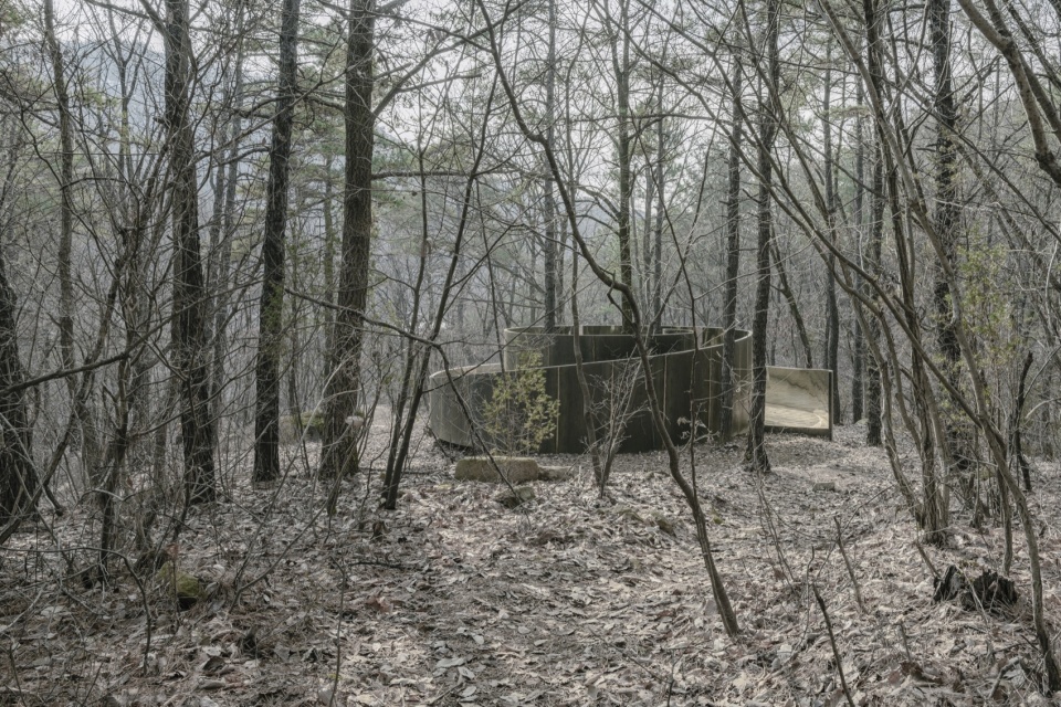 secret forest pavilion by next architects