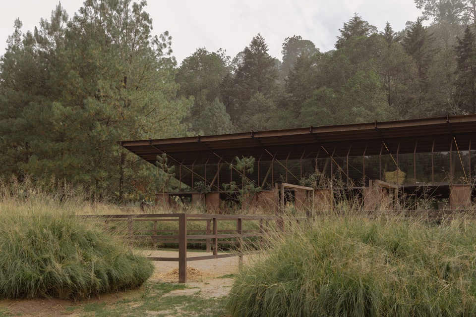 equestrian san ramon by modica ledezma