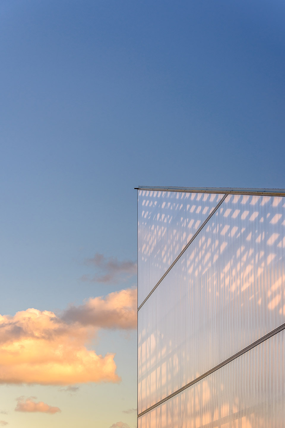 dangrove art storage facility by tzannes