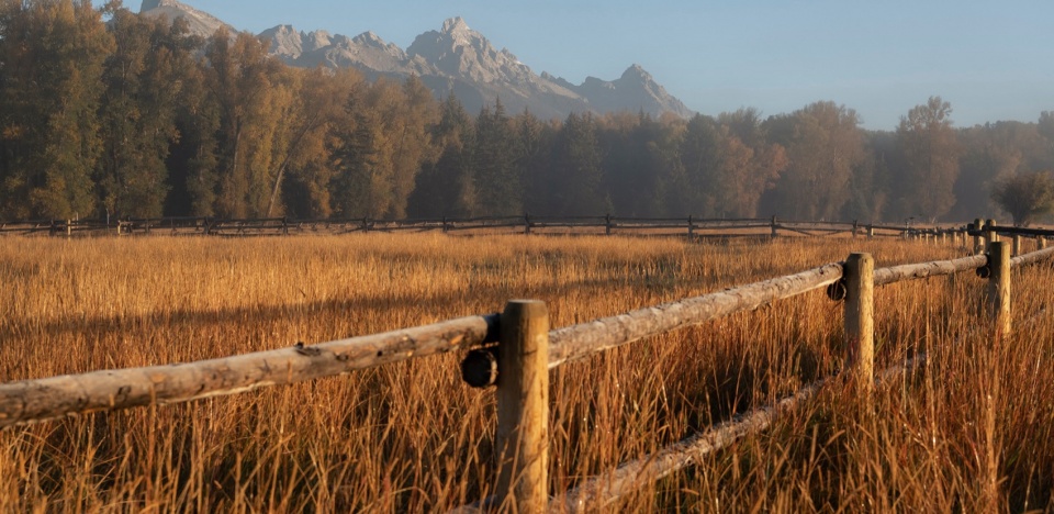 2023 ASLA RESIDENTIAL DESIGN AWARD OF HONOR Black Fox Ranch by Design Workshop Inc