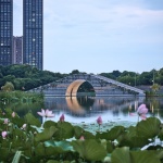 杭州滨江公共空间·涧石驿与停云驿 / 同济建筑设计集团都市院原作设计工作室