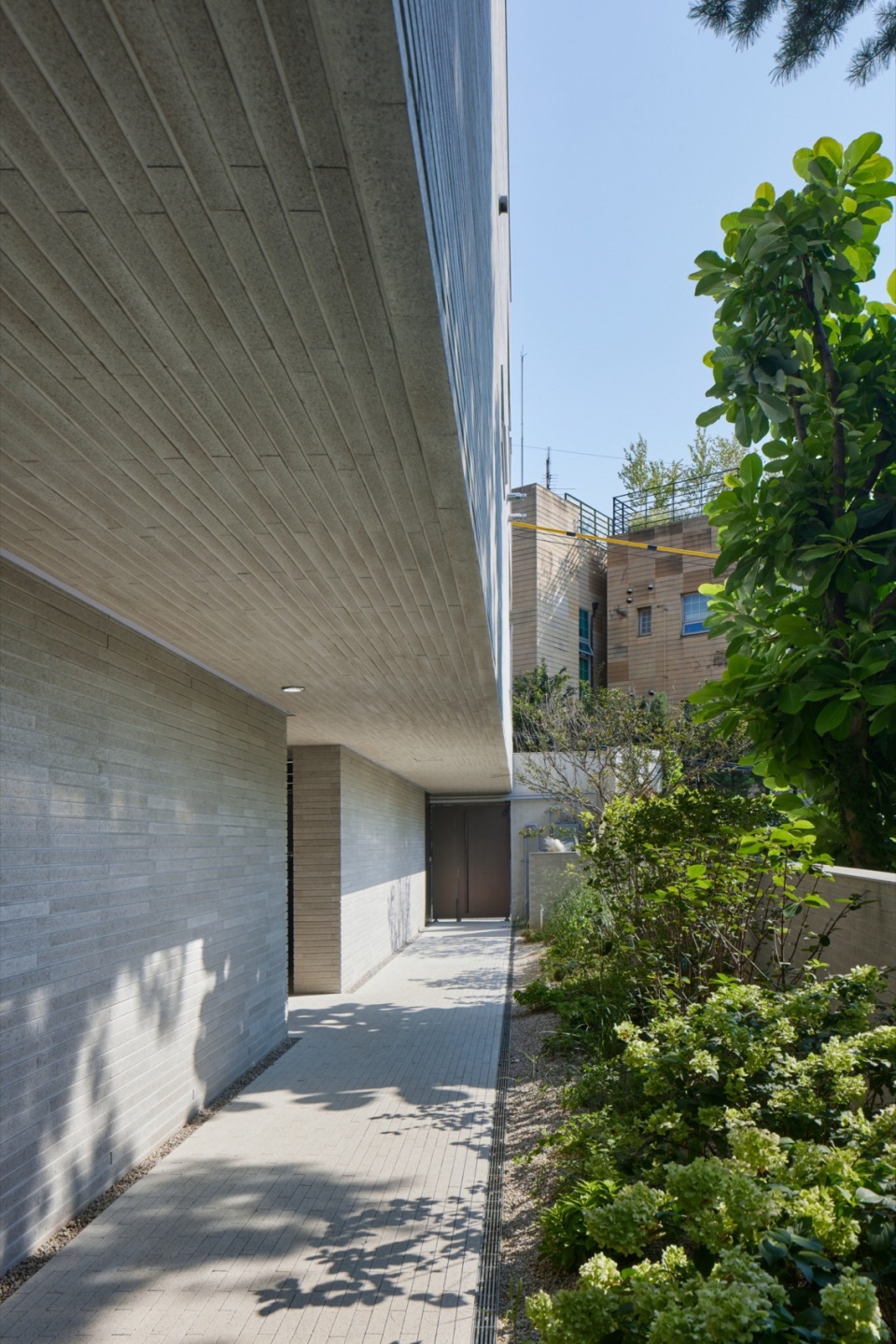Rift House LJL ARCHITECTS