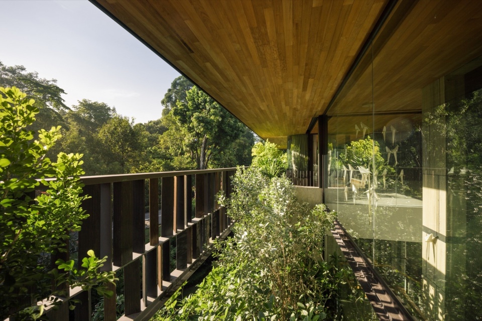 Touching Eden House by Wallflower Architecture Design