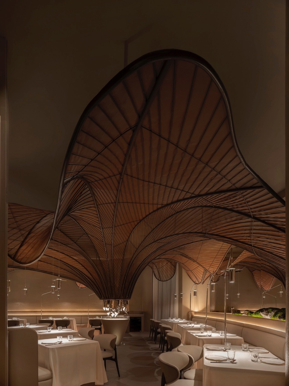 tang talk by jingle design