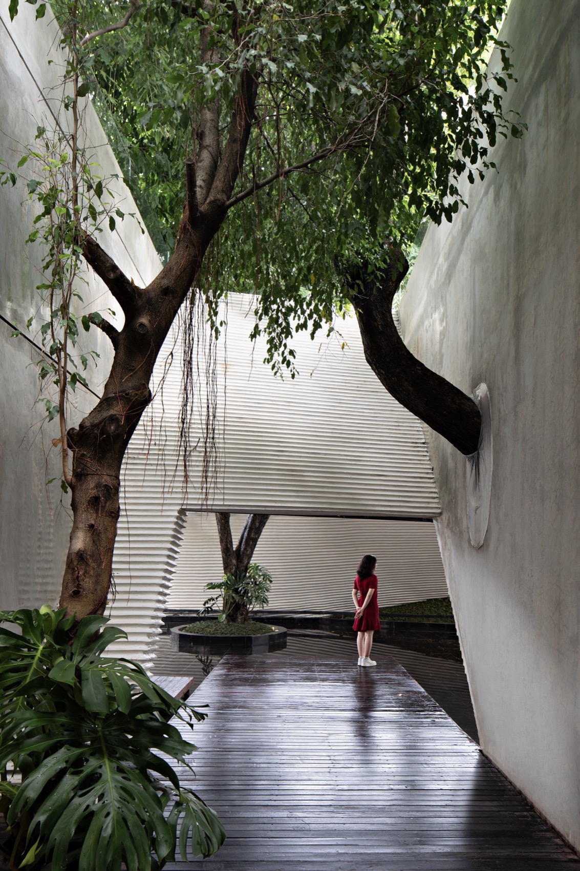 Tanatap Wall Garden by RAD+ar - 谷德设计网 - Baconhouse Steel Green Design Inside Wall