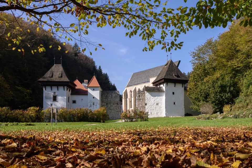 covering the remains of the church of st john the baptist in the zice charterhouse by medprostor