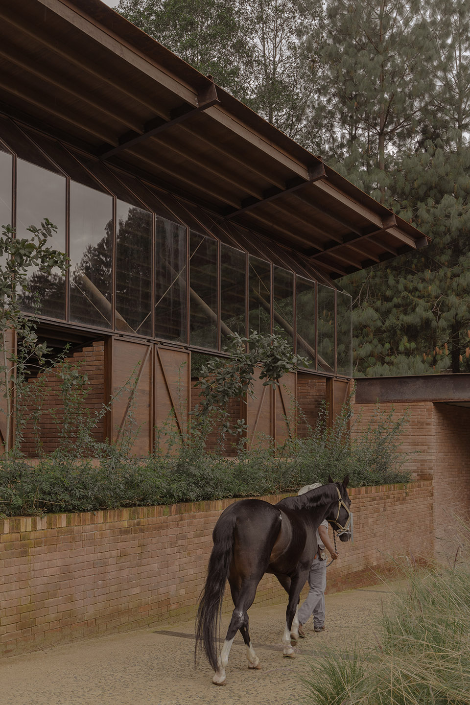 equestrian san ramon by modica ledezma