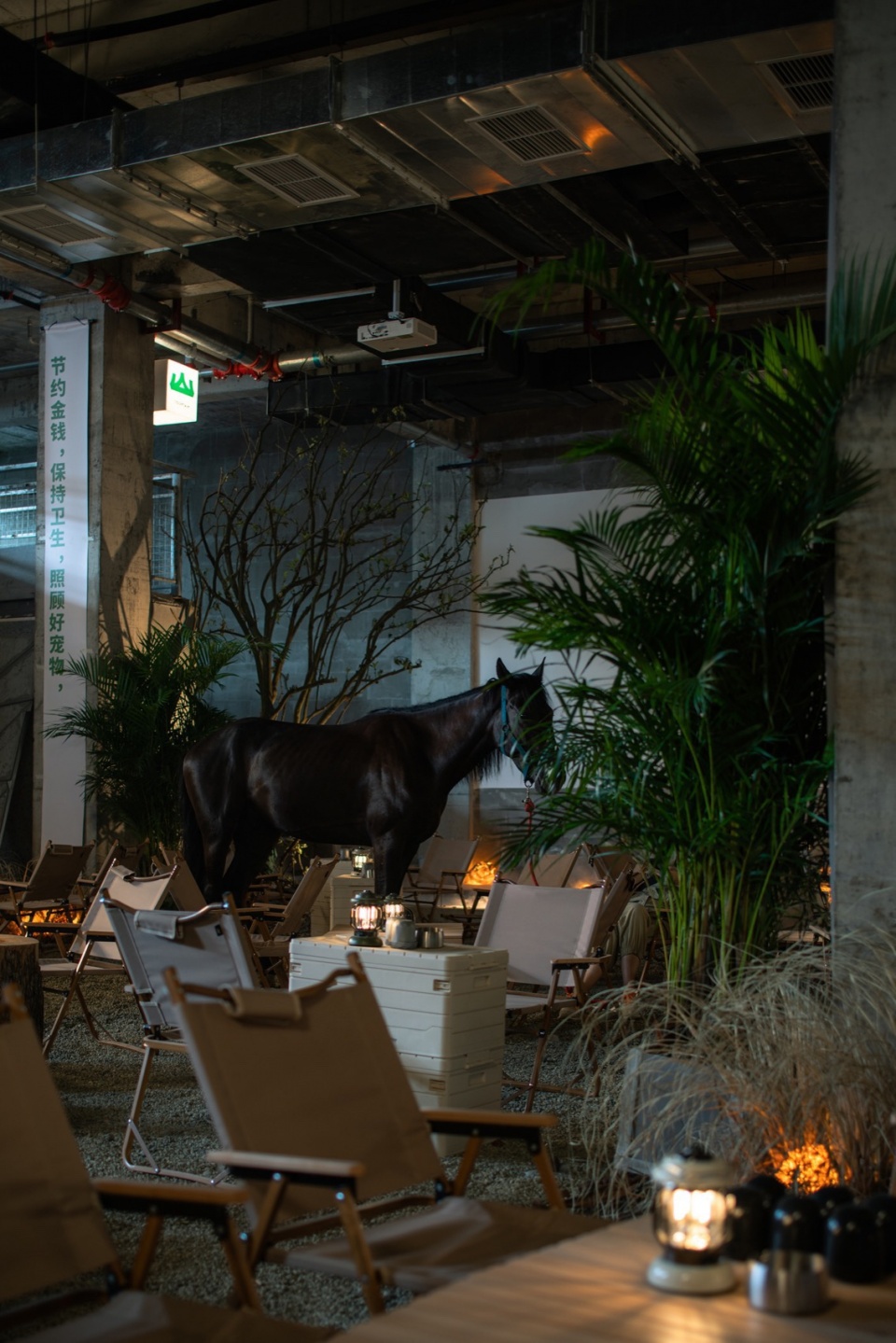 Shao Buchushu by HOPE DESIGN
