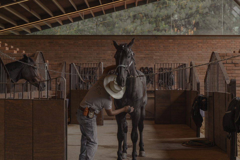 equestrian san ramon by modica ledezma
