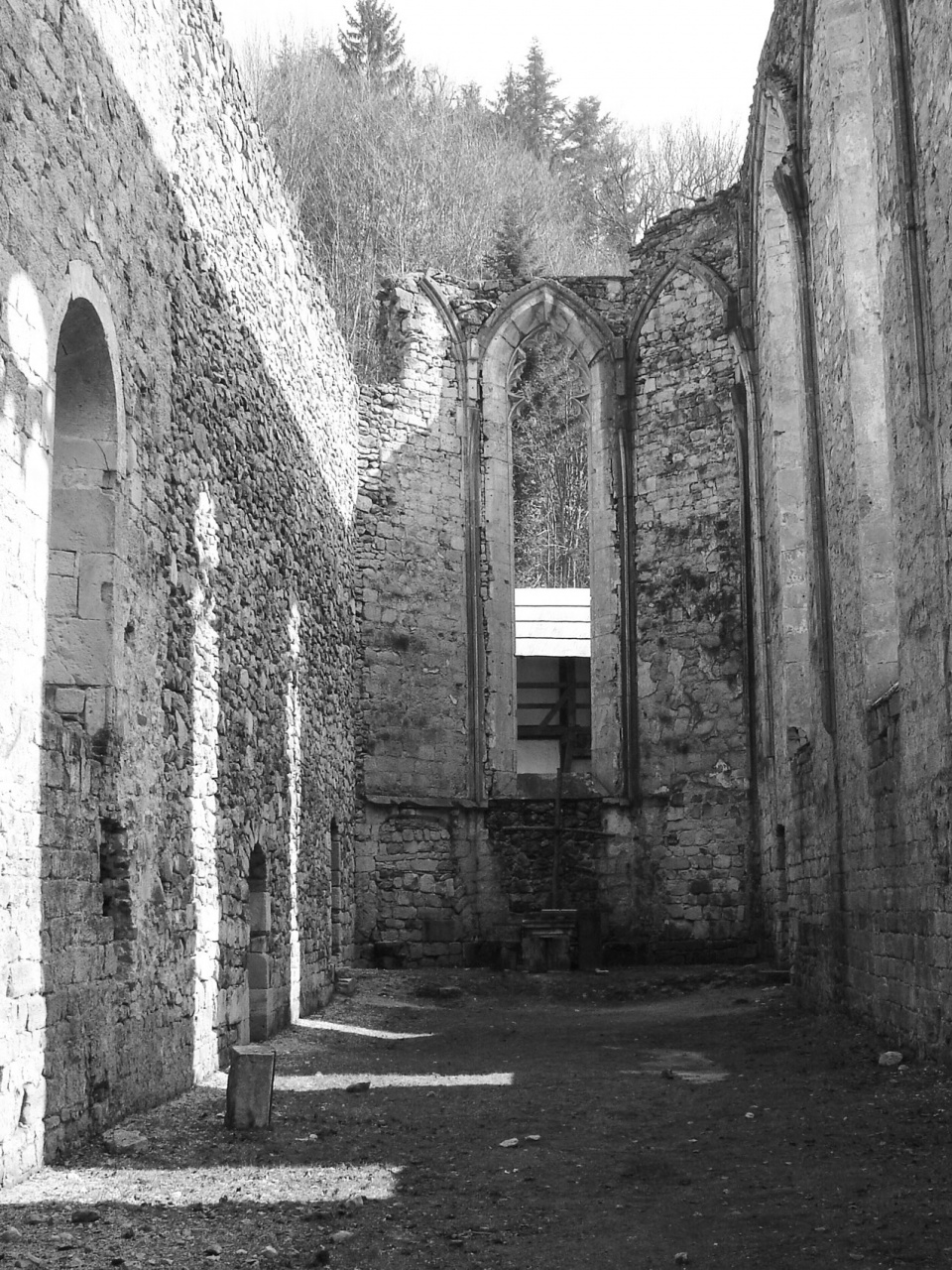 covering the remains of the church of st john the baptist in the zice charterhouse by medprostor