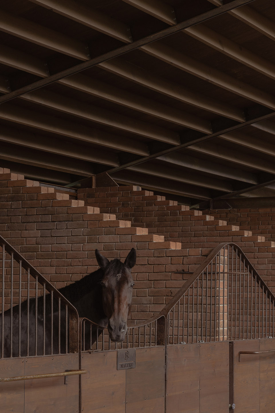 equestrian san ramon by modica ledezma