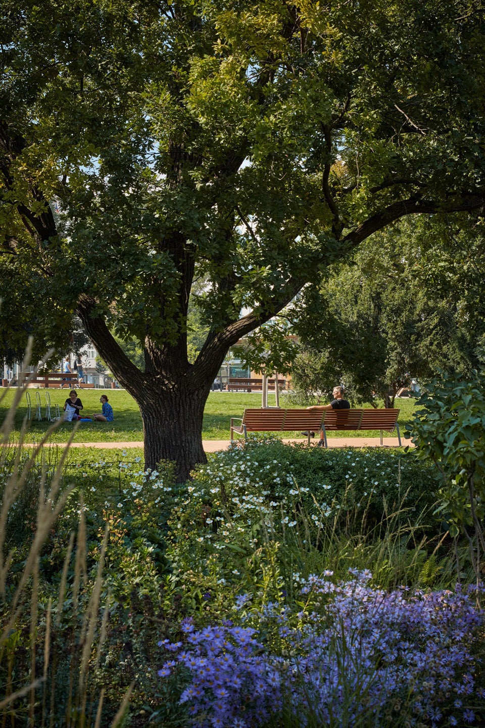 The Moravian Square Park Revitalisation by Consequence forma architects
