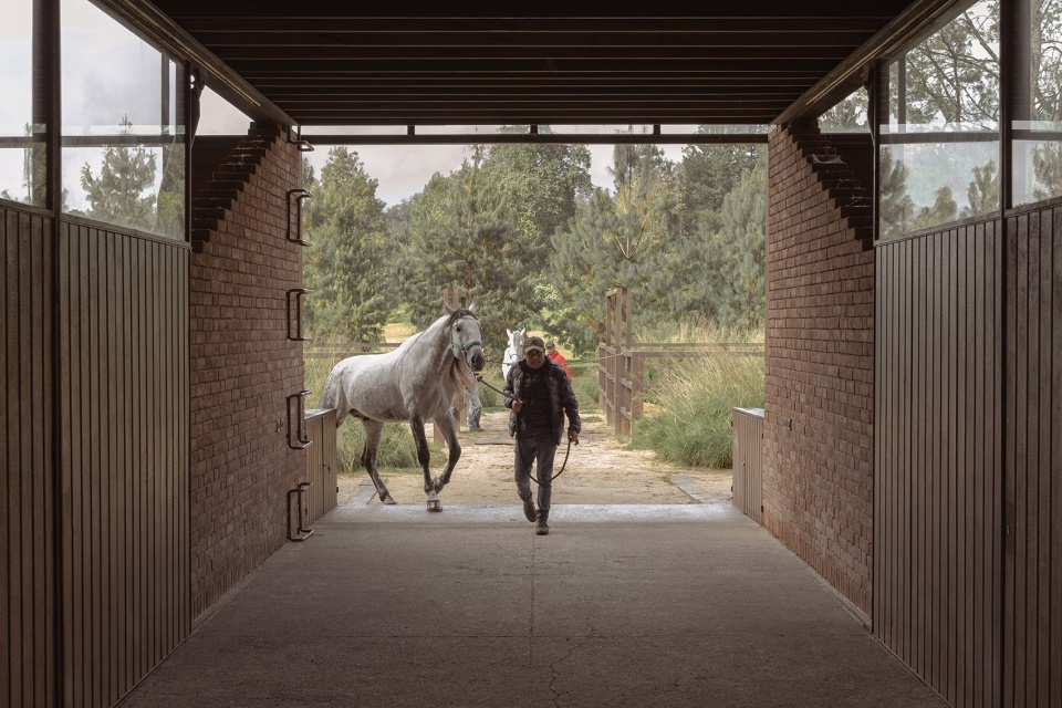 equestrian san ramon by modica ledezma
