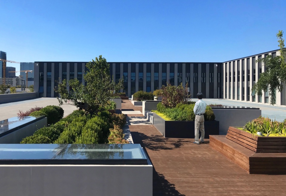 synaptic medical cardiac electrophysiology factory by way design