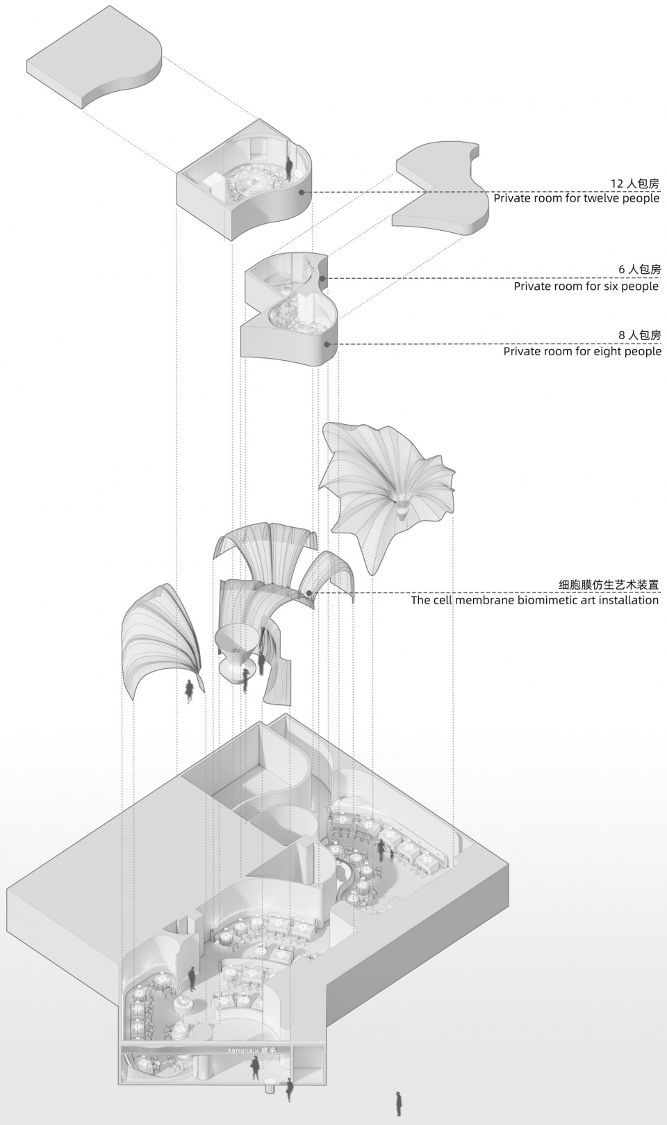 tang talk by jingle design
