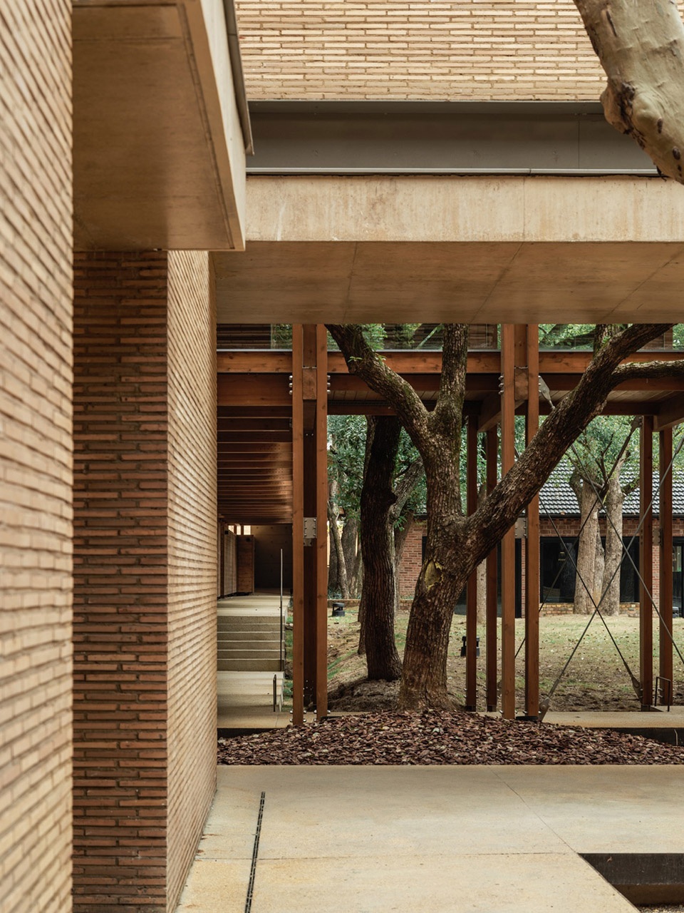 Jingyang Camphor Court China by Vector Architects