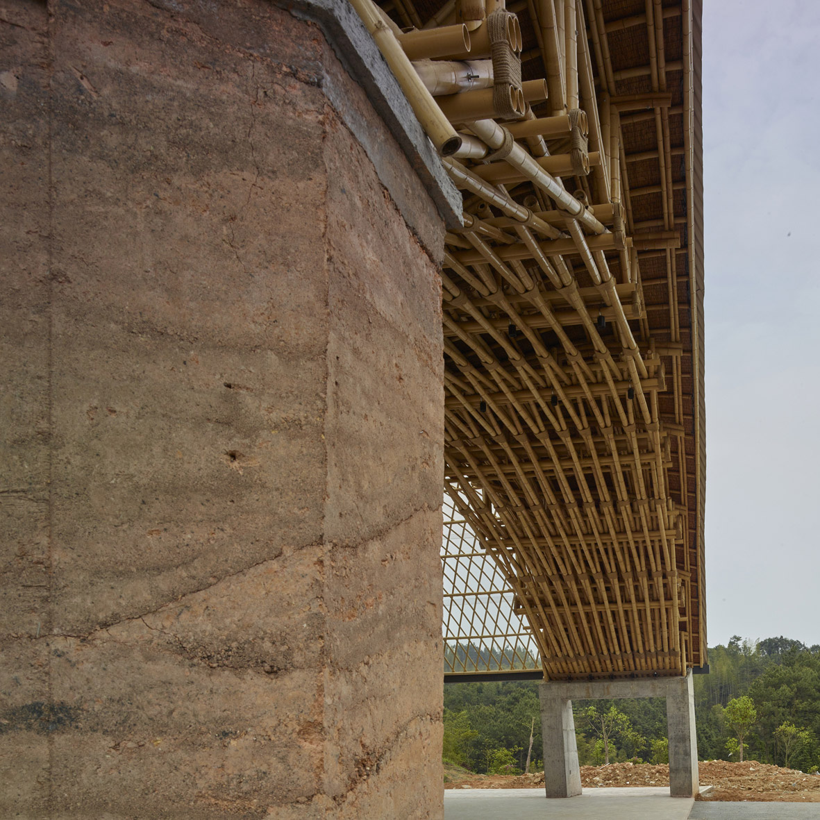 tea leaf market of zhugunlong by sup atelier