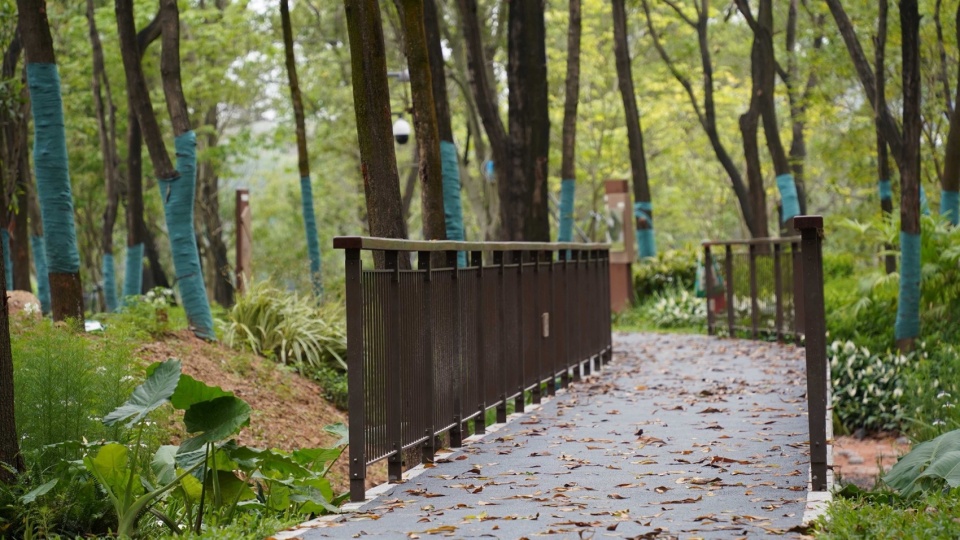 qiaocheng north park by wenke green technology