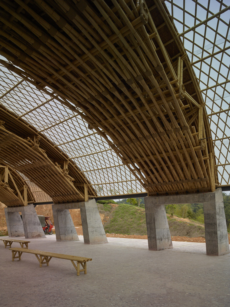 tea leaf market of zhugunlong by sup atelier