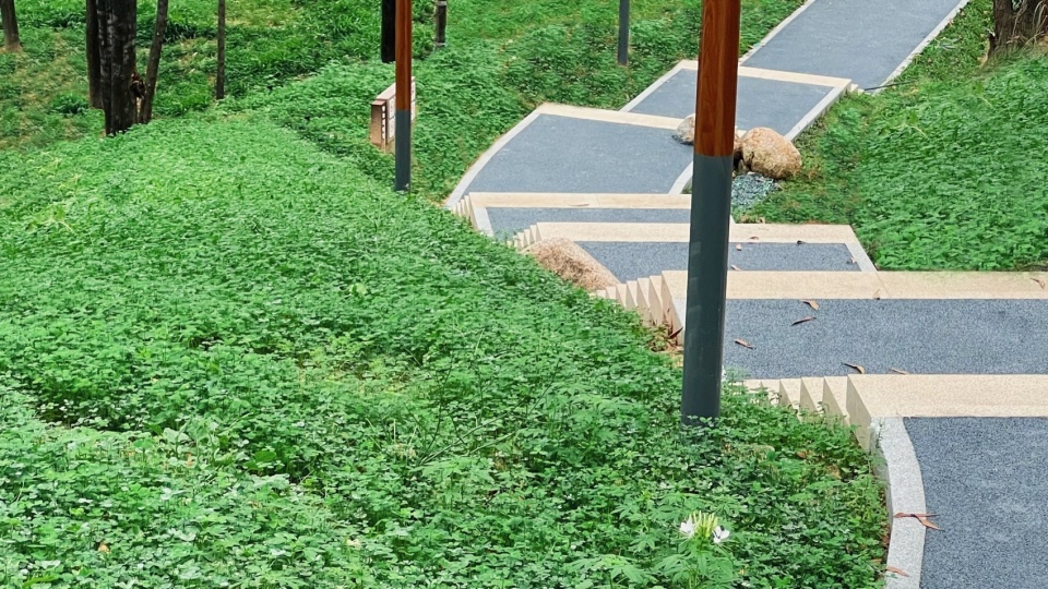 qiaocheng north park by wenke green technology