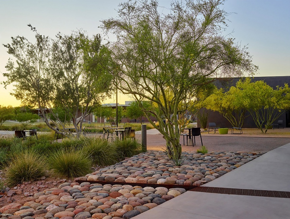 SCC Business School Indigenous Culture Center COLWELL SHELOR LANDSCAPE ARCHITECTURE