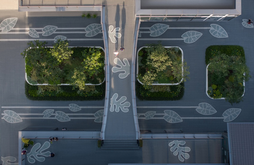 vanke longhuahui landscape design by sed landscape archi