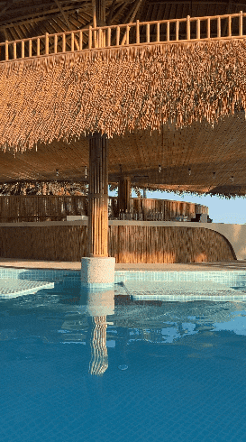 DEDECO Beach Club Basistudio