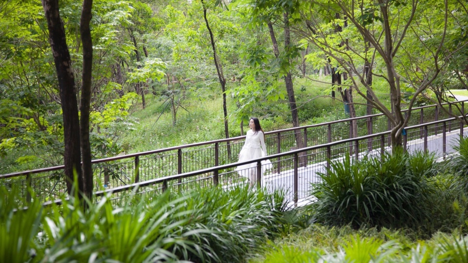 qiaocheng north park by wenke green technology