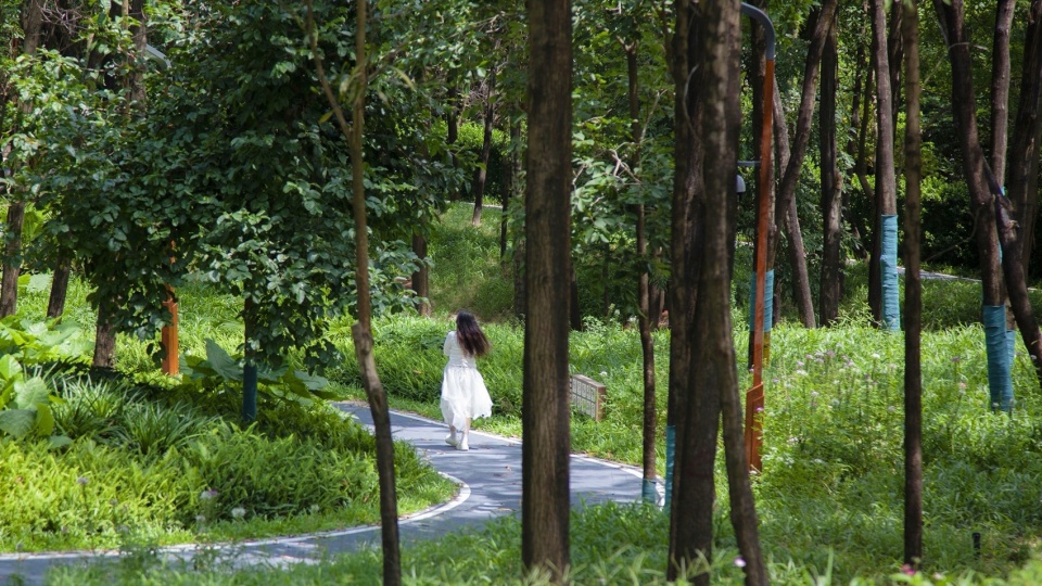 qiaocheng north park by wenke green technology