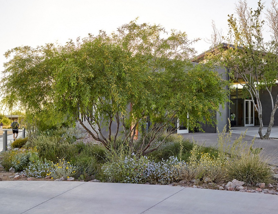 SCC Business School Indigenous Culture Center COLWELL SHELOR LANDSCAPE ARCHITECTURE