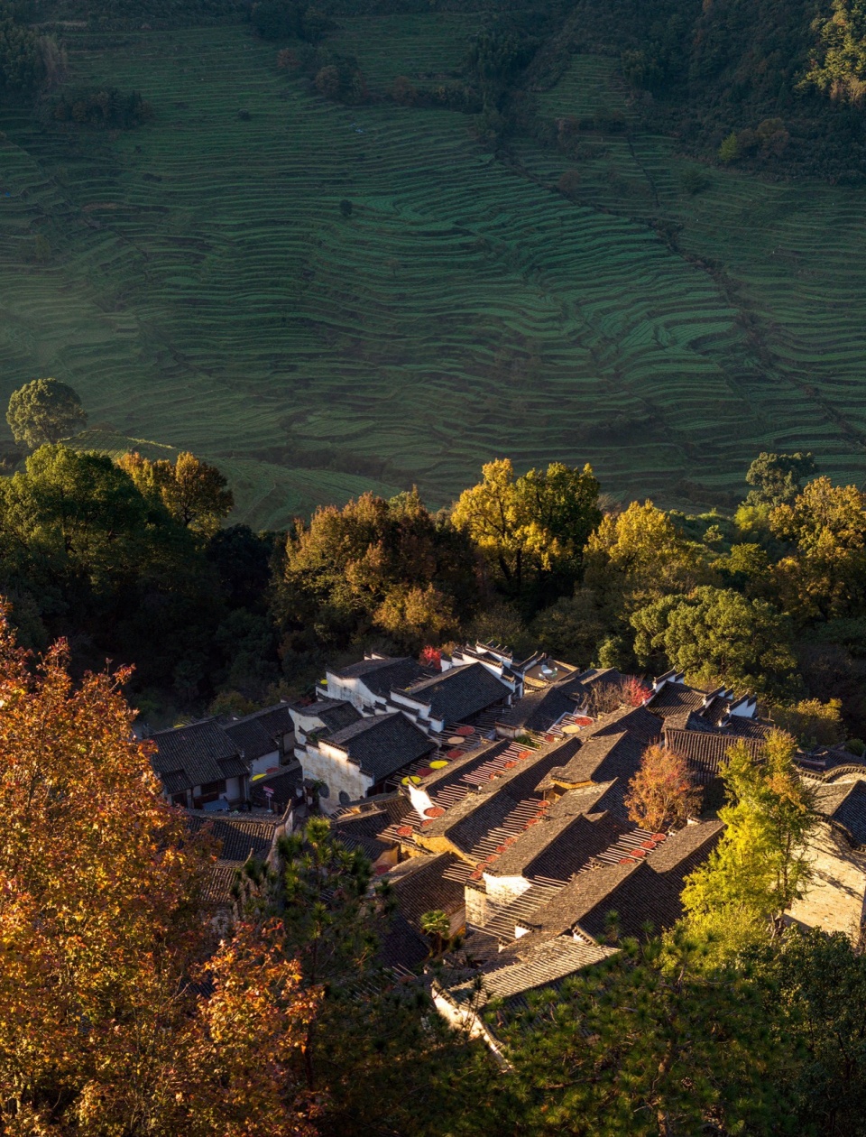 renovation of huangling ancient village by wuyuan village culture media co ltd
