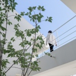 Pudong Villa, Shanghai by Atelier LI