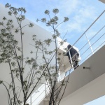 Pudong Villa, Shanghai by Atelier LI