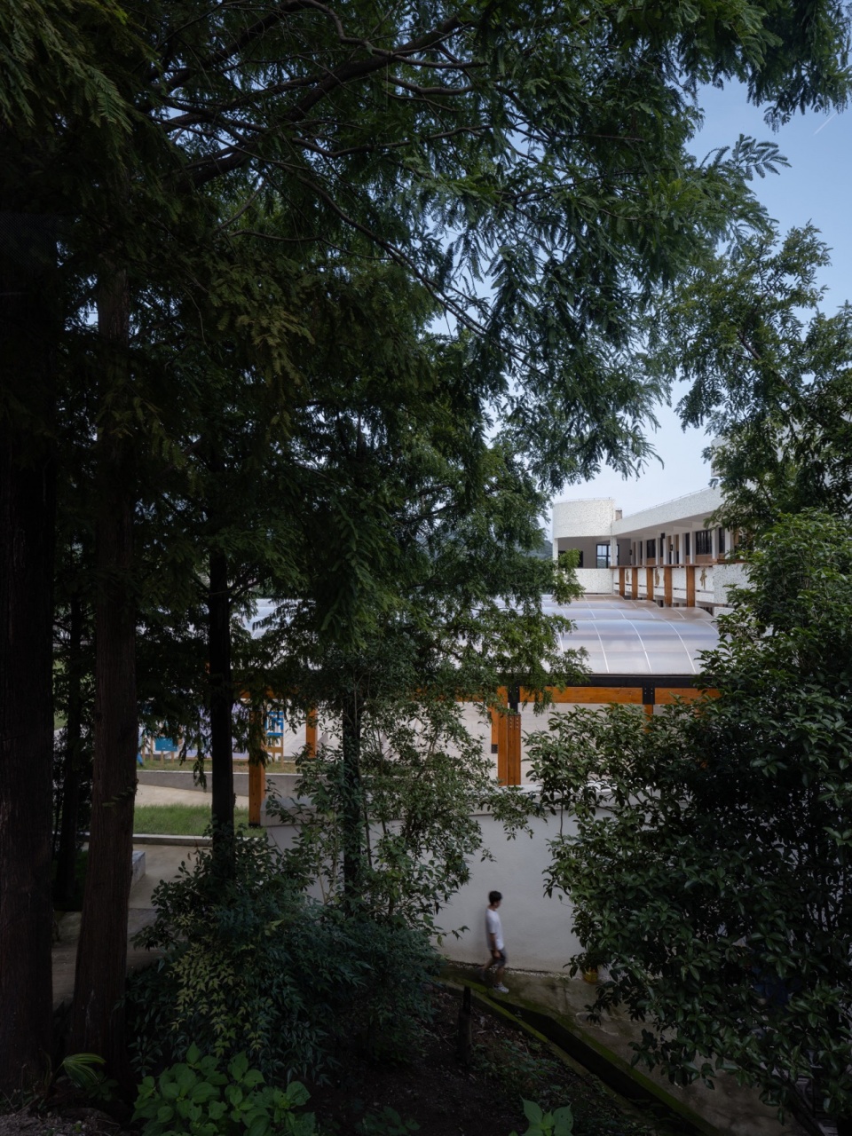 绿色遮蔽的教学楼 摄影:吴清山 transformation and regeneration of sunao primary school by zaozuo architecture studio