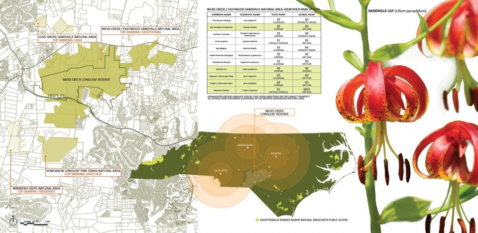 2023 ASLA ANALYSIS AND PLANNING AWARD OF HONOR Nicks Creek Longleaf Reserve Conservation Management Plan by NC State University Coastal D...
