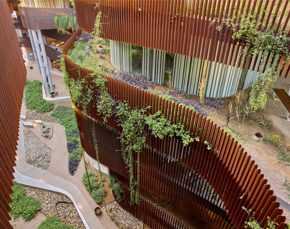 2023 ASLA GENERAL DESIGN AWARD OF HONOR University of Arizona Environment Natural Resource II by COLWELL SHELOR LANDSCAPE ARCHITECTURE