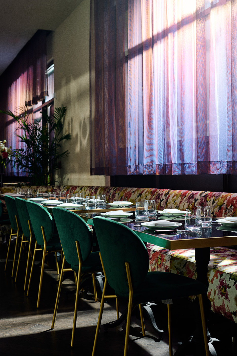 cino restaurant by studio unltd